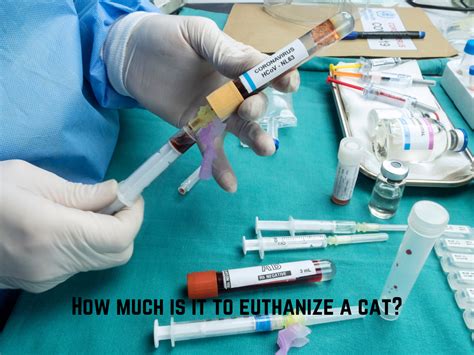 average cost of cat euthanasia.